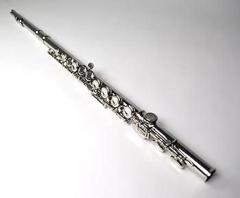 【美品】Kaerntner フルート Amazon | Kaerntner ケルントナー フルート KFL-25 | 管楽器